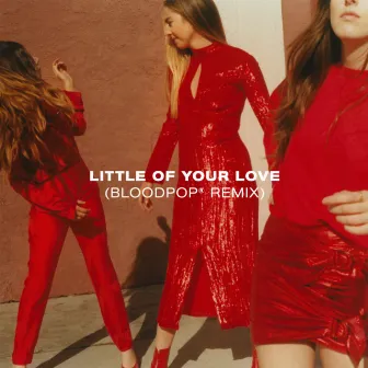 Little Of Your Love (BloodPop® Remix) by BloodPop®