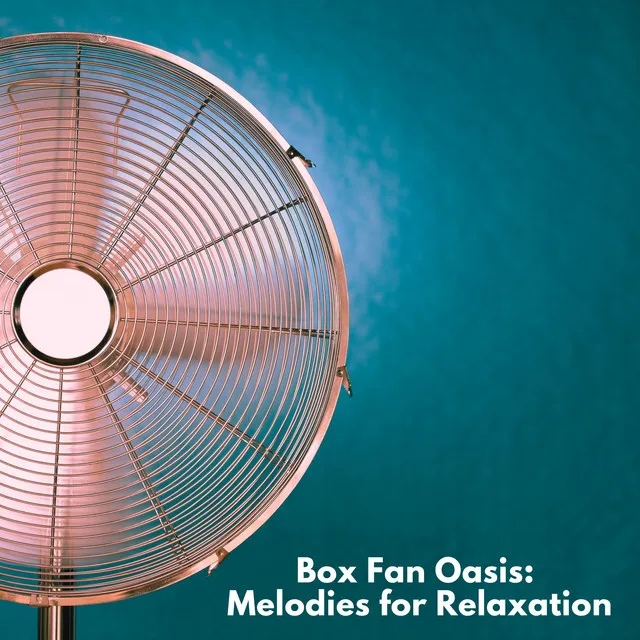 Box Fan Oasis: Melodies for Relaxation