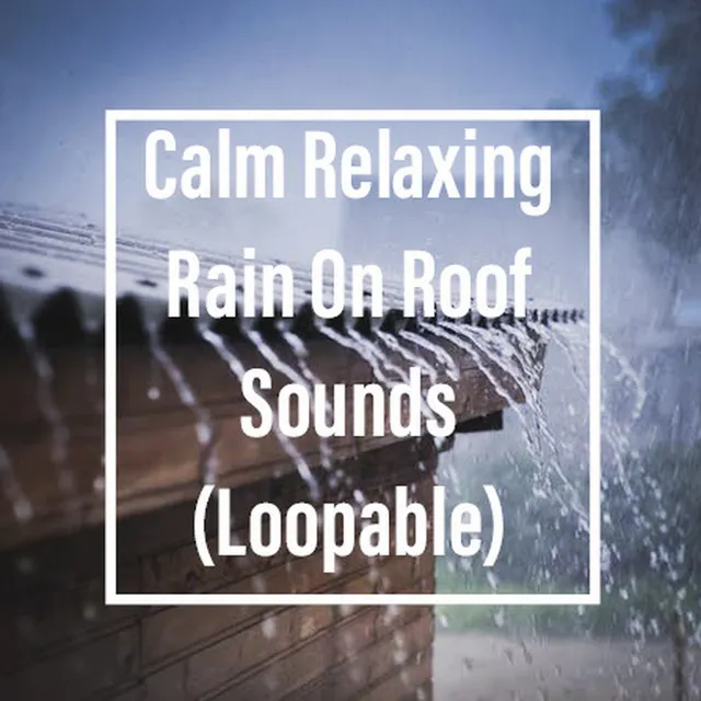 Calm Rain On Roof & Birds (Loopable) B