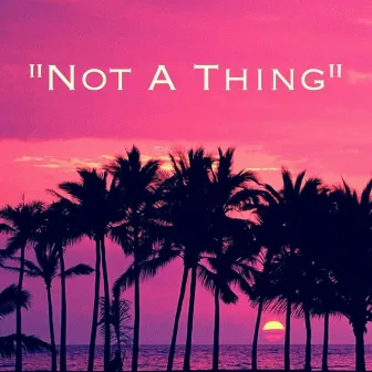 Not a Thing by JB