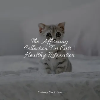 The Affirming Collection For Cats | Healthy Relaxation by Music for Relaxing Cats