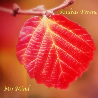 My Mind by Andras Ferenc