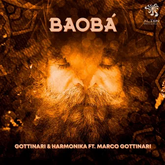 Baobá by Harmonika