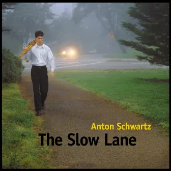 The Slow Lane by Anton Schwartz