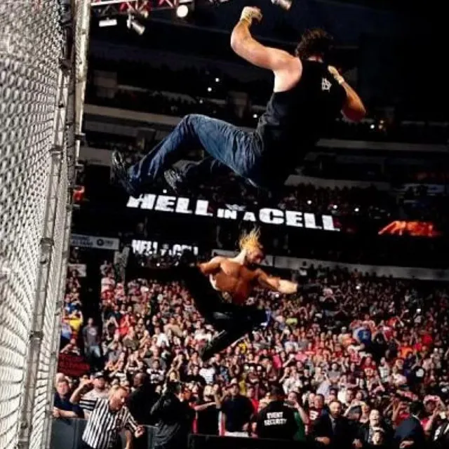 Hell In A Cell