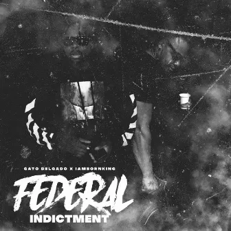 Federal Indictment by IAMBORNKING