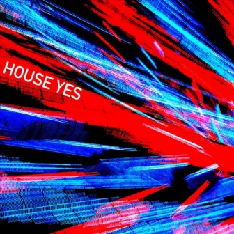 HOUSE YES by Dooley