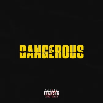 DANGEROUS by 2020vzn