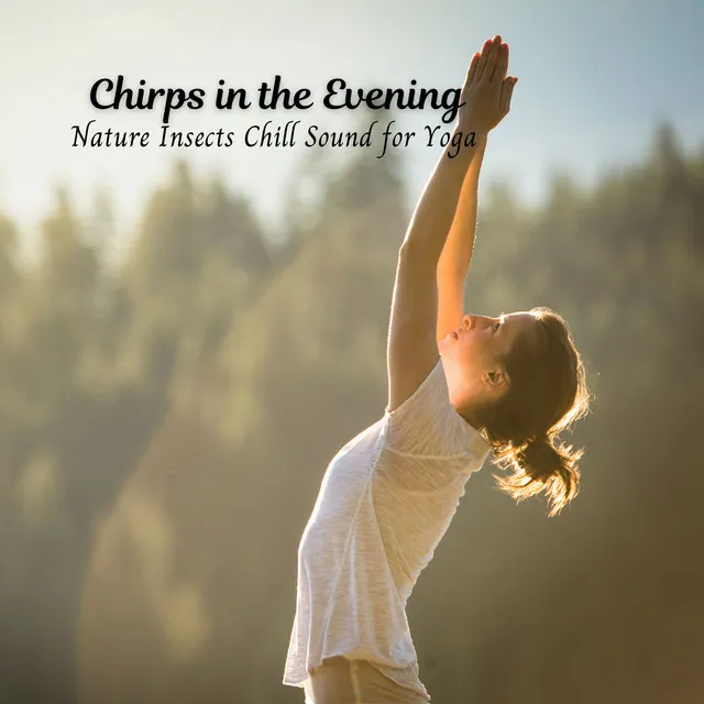 Chirps in the Evening: Nature Insects Chill Sound for Yoga