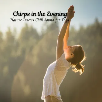 Chirps in the Evening: Nature Insects Chill Sound for Yoga by Night Crickets