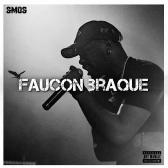 Faucon braque by Smos