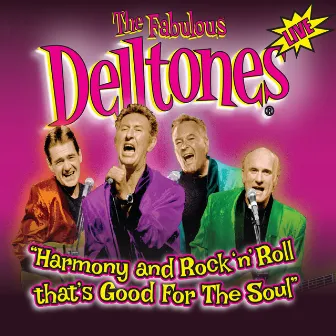 Harmony and Rock 'n' Roll that's Good For The Soul by The Delltones