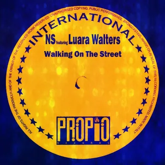 Walking on the Street (feat. Luara Walters) by Ns