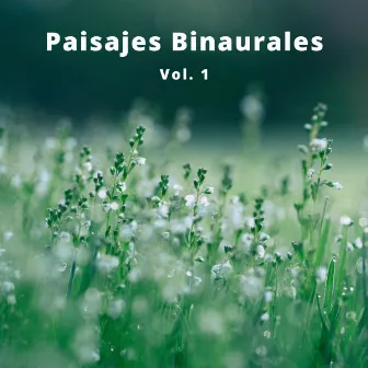 Paisajes Binaurales, Vol. 1 by Tonos Binaurales Para Dormir