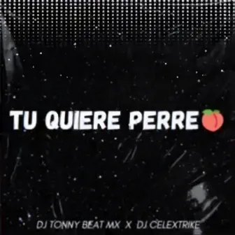 Tu Quiere Perreo by DJ Celextrike