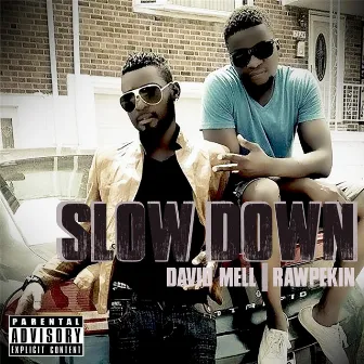 Slow Down by David Mell