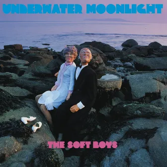 Underwater Moonlight by The Soft Boys