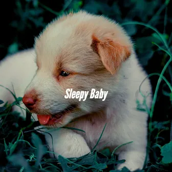 Sleepy Baby by Calming Jazz For Dogs