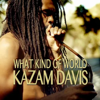 What Kind of World by Kazam Davis