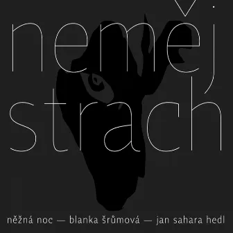 Neměj Strach by Jan Sahara Hedl