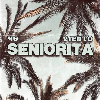 Seniorita by V1eNto