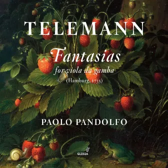 Telemann: Fantasias for Viola da gamba by Paolo Pandolfo