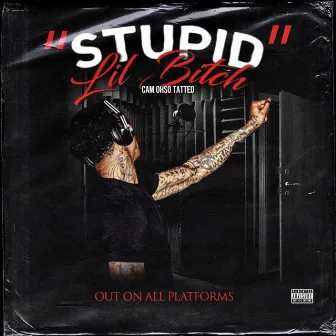 Stupid Lil Bitch by Camohsotatted