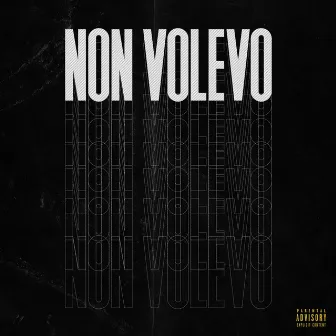 Non Volevo by Limon Willis