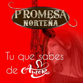 Tu Que Sabes de Amor (Norteño) by Promesa Norteña