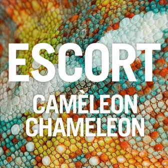 Caméleon Chameleon by Escort