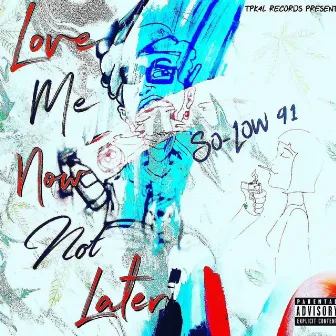 Love Me Now Not Later by So-Low 91