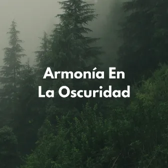 Armonía En La Oscuridad by Relajante de buey de almizcle