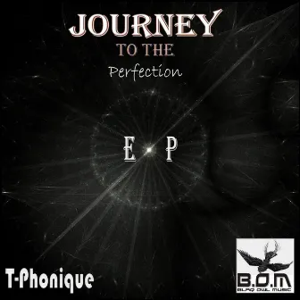 Journey To Perfection EP by T-Phonique