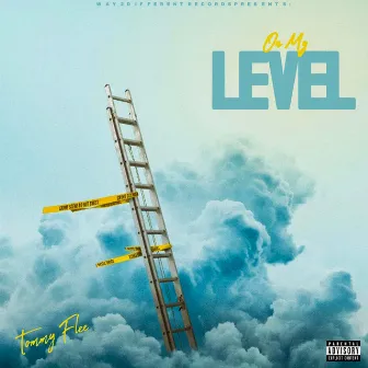 On my level by Tommy Flee