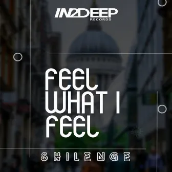 Feel What I Feel by Shilenge