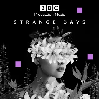 Strange Days by Daniel Burrows