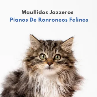 Maullidos Jazzeros: Pianos De Ronroneos Felinos by Jazz clásico antiguo