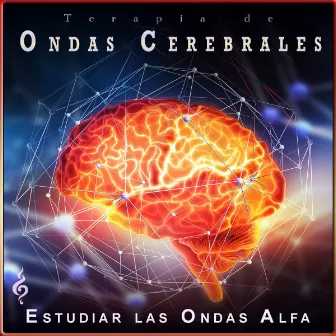 Terapia de Ondas Cerebrales: Concentración de Ondas Alfa by Unknown Artist