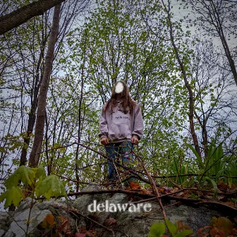 delaware by creativeravine