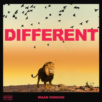 Different by Waan Honcho