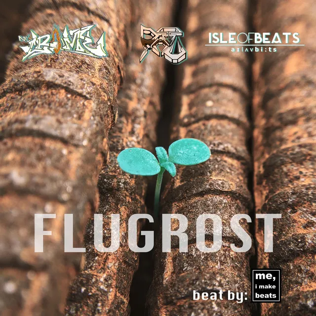 Flugrost