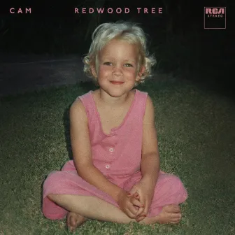 Redwood Tree by Cam