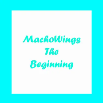 The Beginning by MachoWings