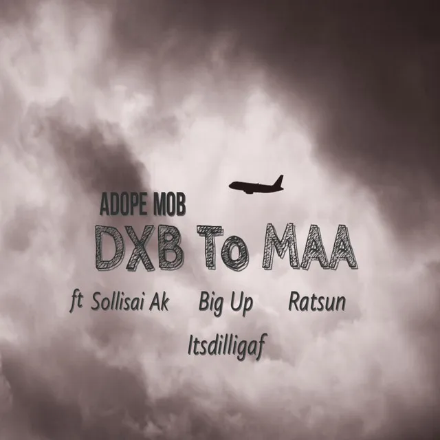 DXB To MAA