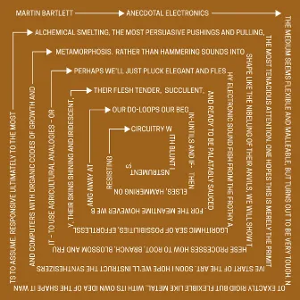 Anecdotal Electronics: Live Experiments & Other Recordings by Martin Bartlett