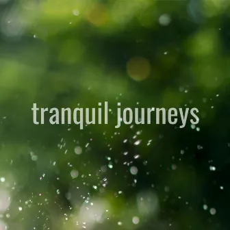 Gently Falling Rain by Tranquil Journeys