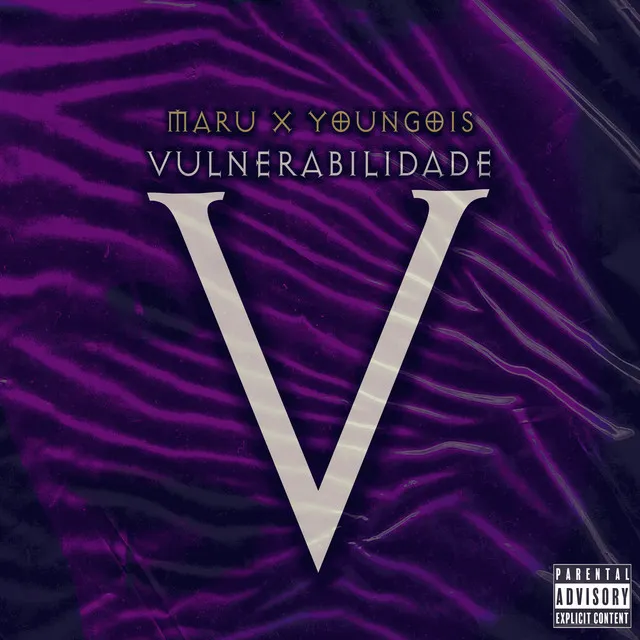 Vulnerabilidade