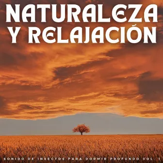 Naturaleza Y Relajación: Sonido De Insectos Para Dormir Profundo Vol. 1 by Música para dormir chicos