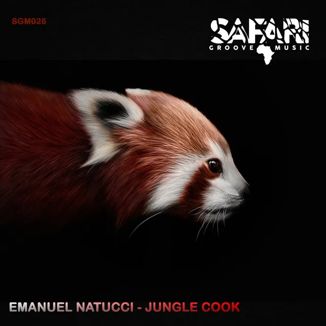 Jungle Cook - Original Mix