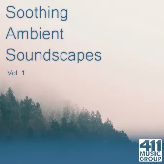 Soothing Ambient Soundscapes, Vol. 1 by Peter Lobo